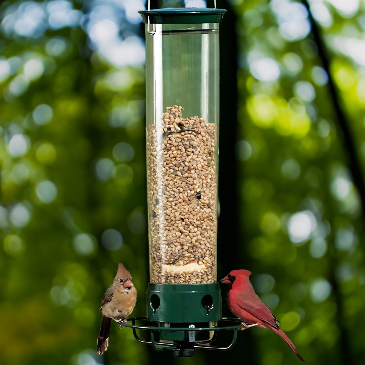 Aviara | Spinning Squirrel-Proof Bird Feeder