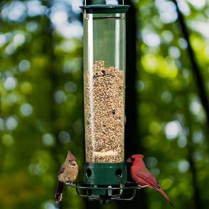 Aviara | Spinning Squirrel-Proof Bird Feeder