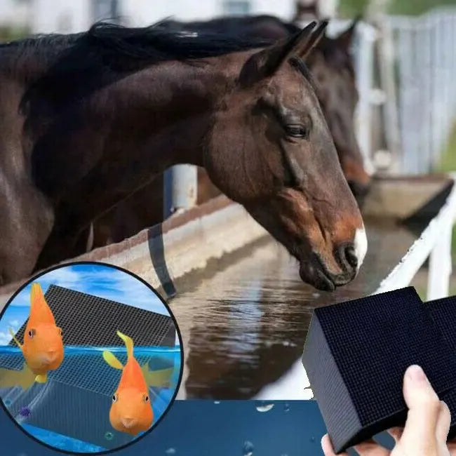 Bio-Cube | Natural Water Purifier for Pets & Livestock