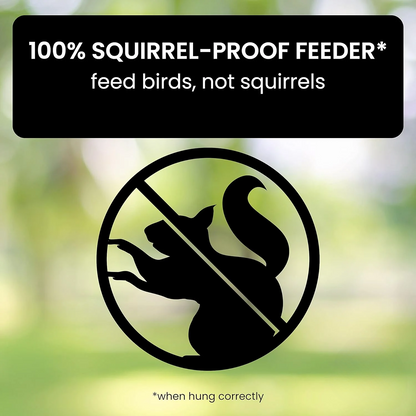 Aviara | Spinning Squirrel-Proof Bird Feeder