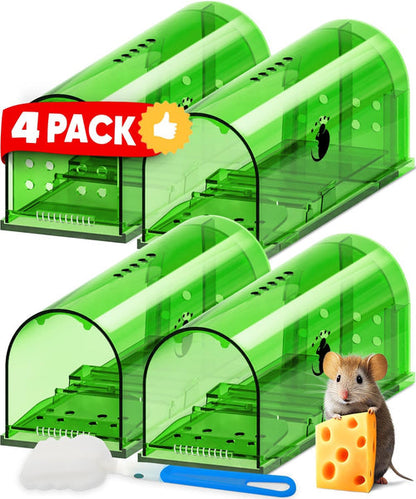 SafeCatch | Humane Mouse Trap, 4-Pack