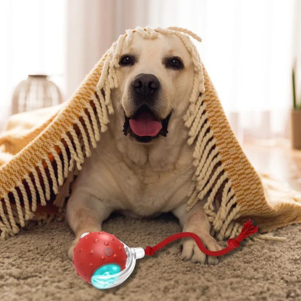 ChewRoll | Interactive Self-Rolling Dog Toy
