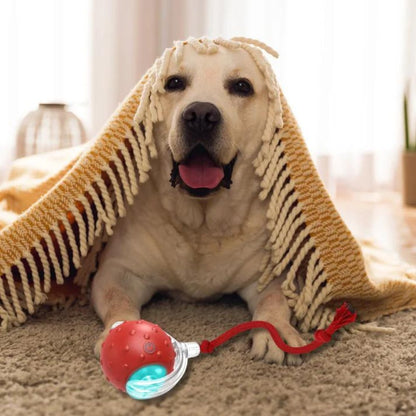 ChewRoll | Interactive Self-Rolling Dog Toy