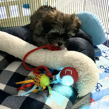 ChewRoll | Interactive Self-Rolling Dog Toy