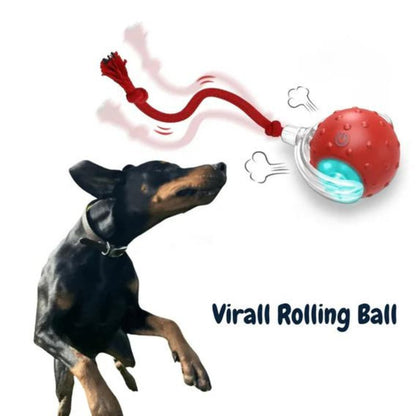 ChewRoll | Interactive Self-Rolling Dog Toy