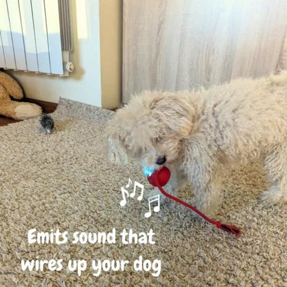 ChewRoll | Interactive Self-Rolling Dog Toy