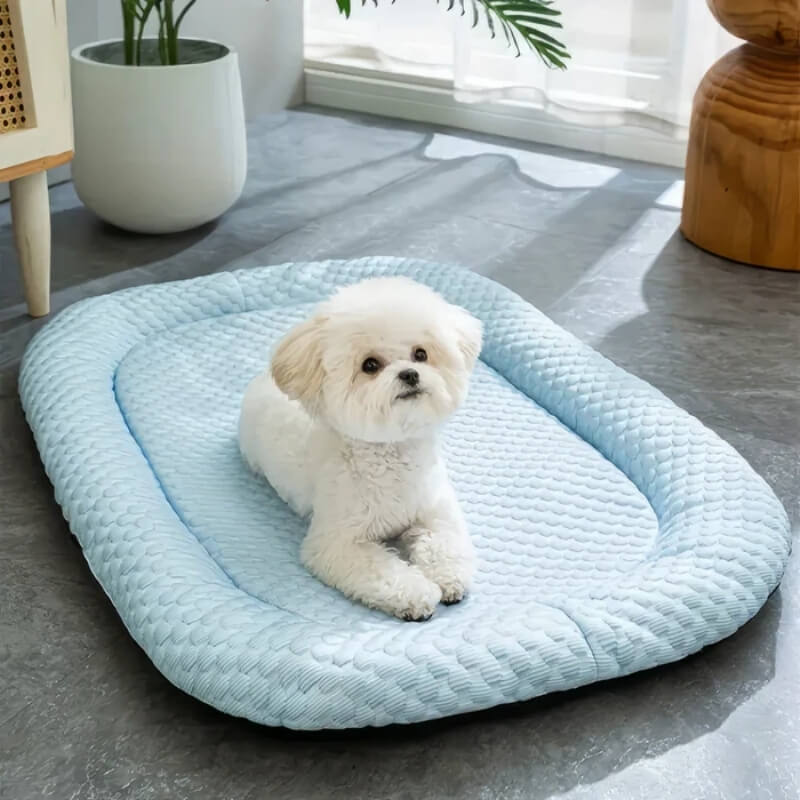 ChillPaws | Premium Cooling Dog Bed