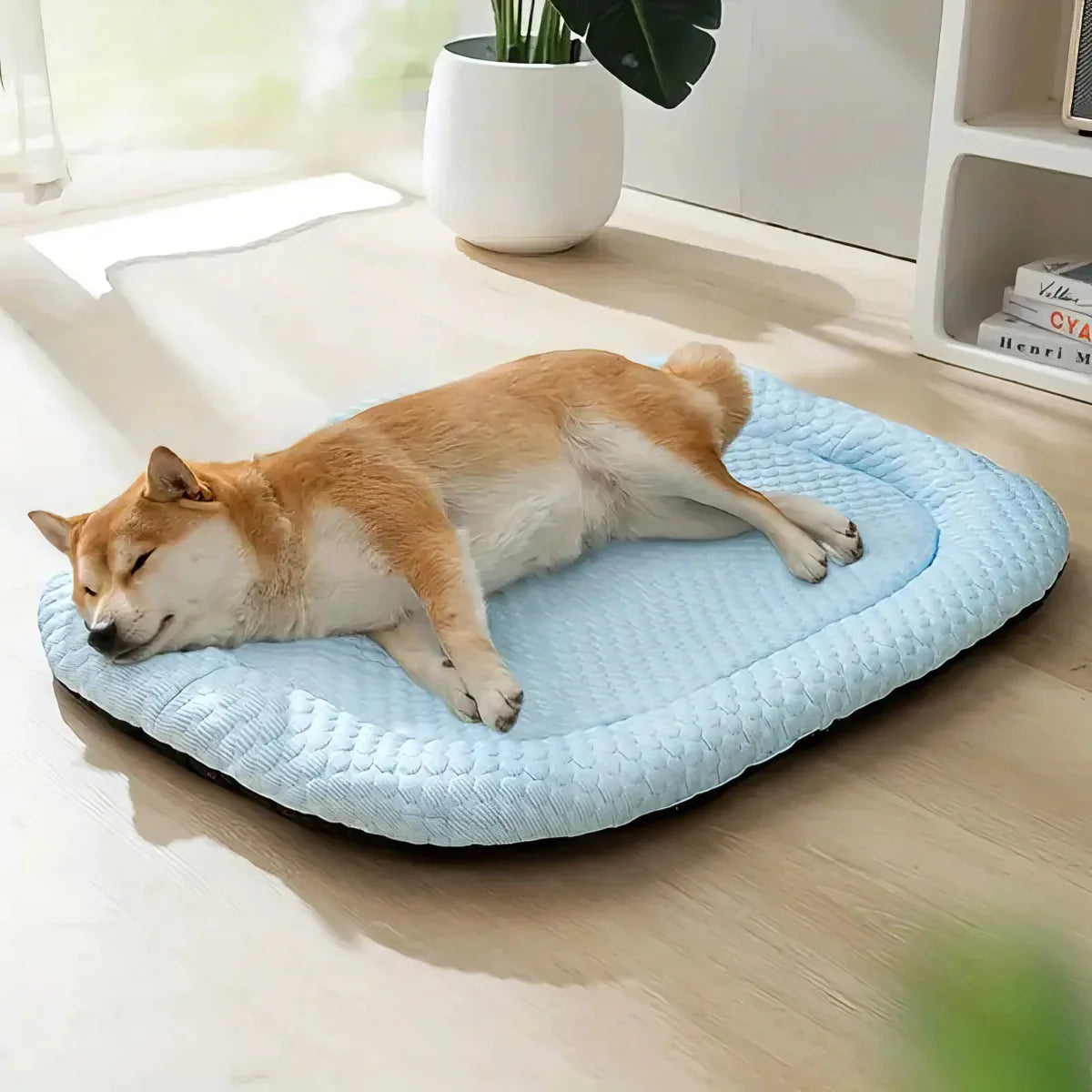 ChillPaws | Premium Cooling Dog Bed