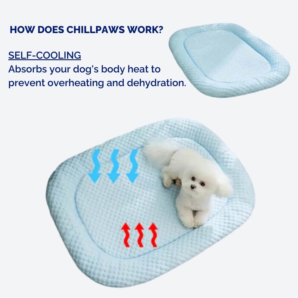 ChillPaws | Premium Cooling Dog Bed