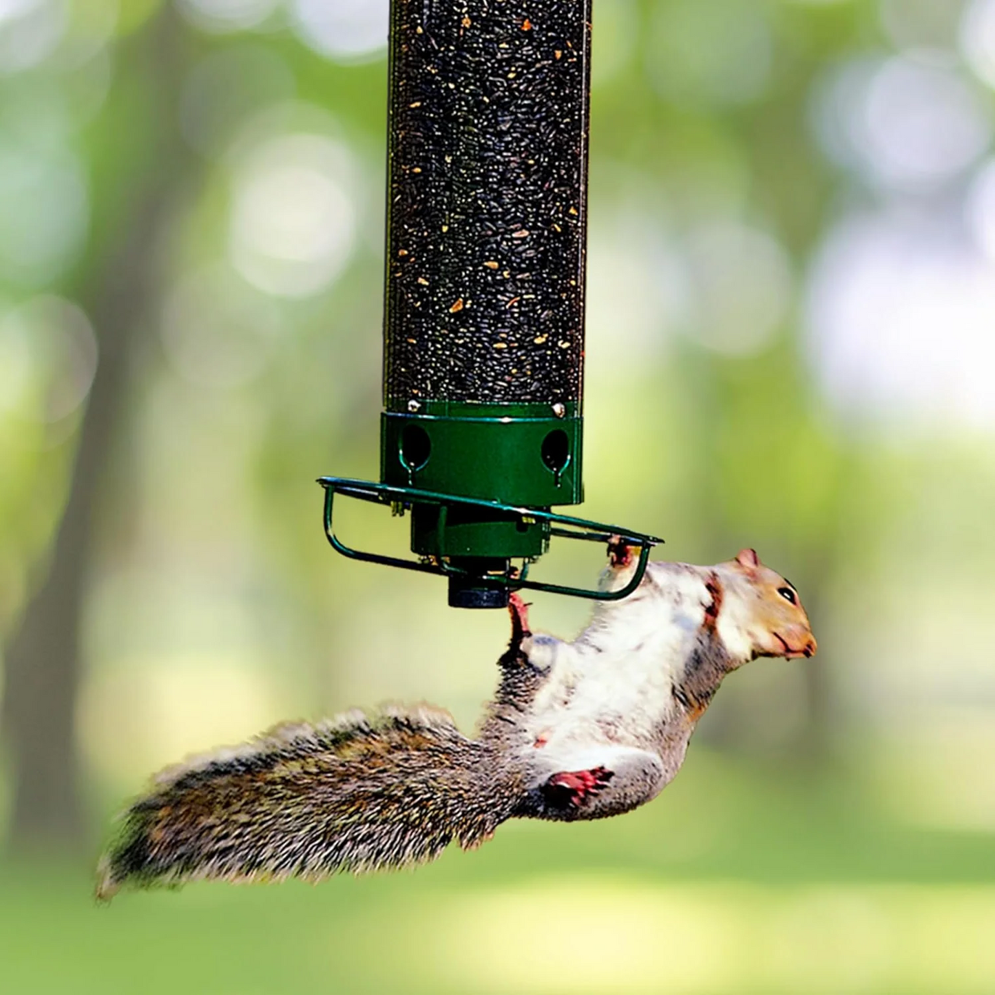 Yankee Flipper | Squirrel-Proof Wild Bird Feeder