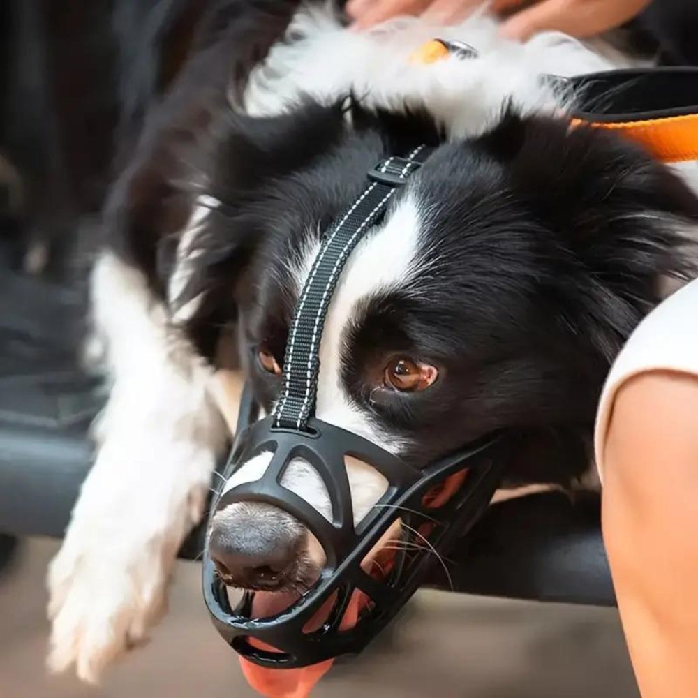 SafeBark | Breathable Anti-Bite & Anti-Bark Dog Muzzle
