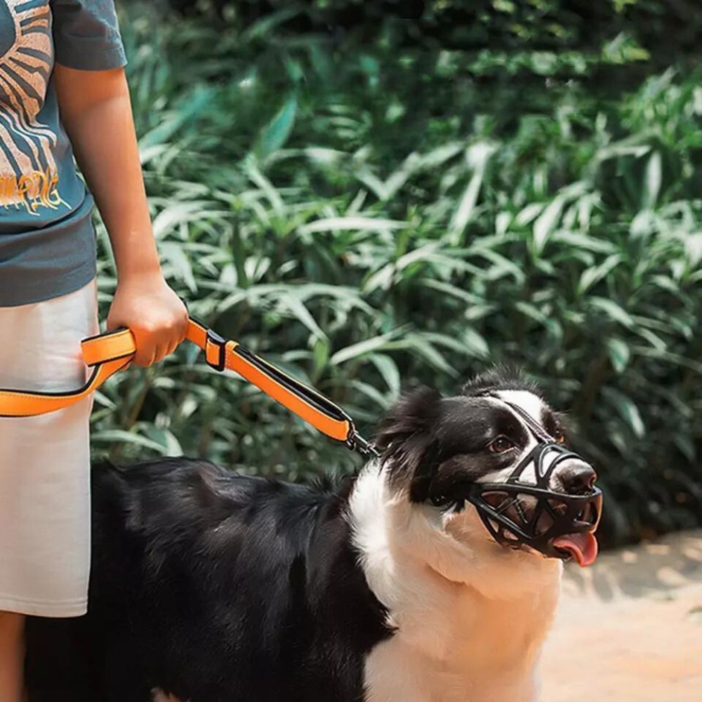 SafeBark | Breathable Anti-Bite & Anti-Bark Dog Muzzle