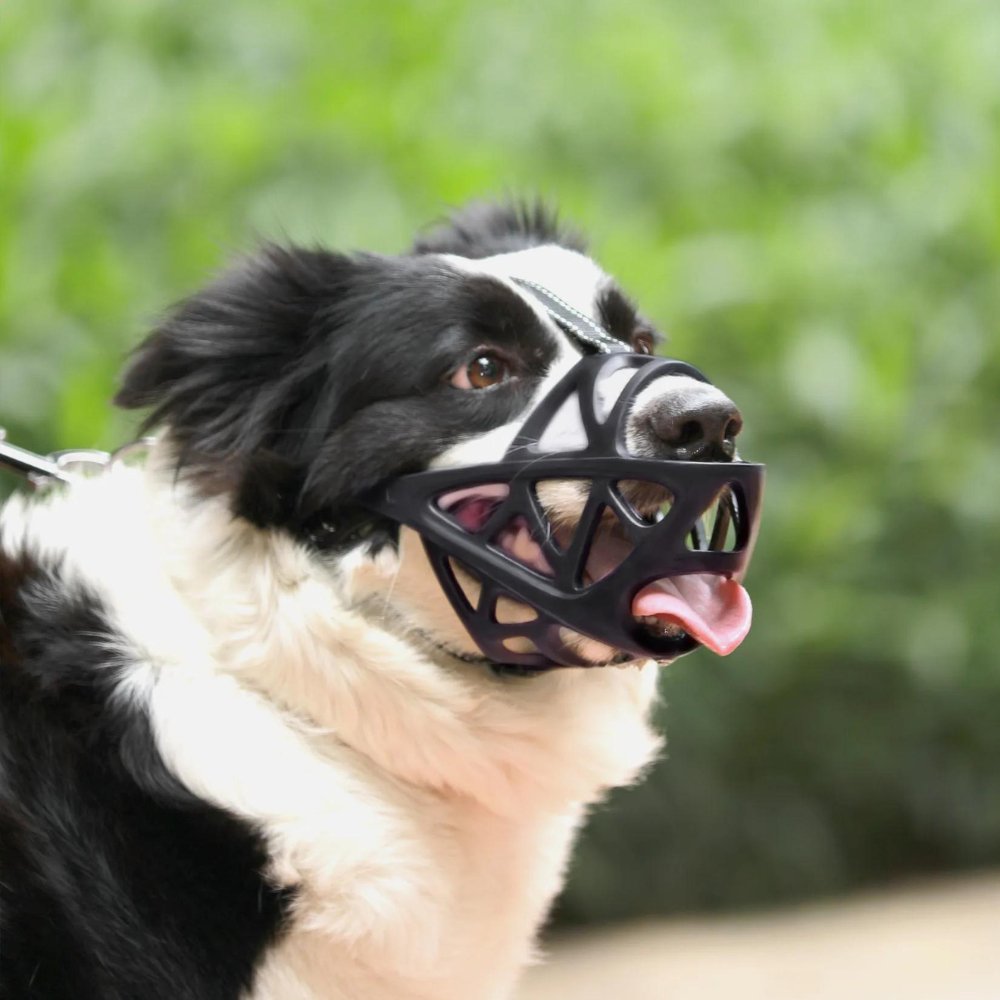 SafeBark | Breathable Anti-Bite & Anti-Bark Dog Muzzle